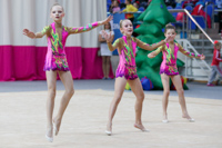 © ВФЭГ (RFAG)