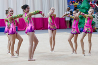 © ВФЭГ (RFAG)
