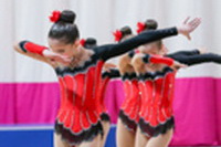 © ВФЭГ (RFAG)