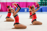 © ВФЭГ (RFAG)