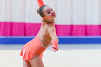 © ВФЭГ (RFAG)