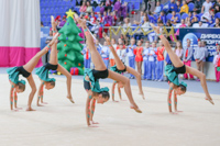 © ВФЭГ (RFAG)