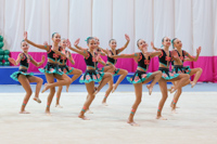 © ВФЭГ (RFAG)