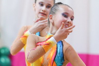 © ВФЭГ (RFAG)