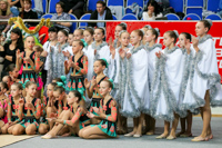 © ВФЭГ (RFAG)