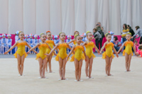 © ВФЭГ (RFAG)