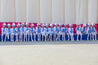 © ВФЭГ (RFAG)