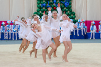 © ВФЭГ (RFAG)