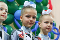 © ВФЭГ (RFAG)