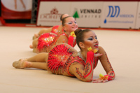 © ВФЭГ (RFAG)