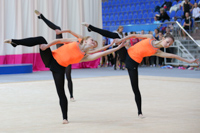 © ВФЭГ (RFAG)