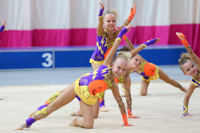© ВФЭГ (RFAG)