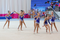 © ВФЭГ (RFAG)