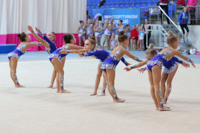 © ВФЭГ (RFAG)