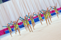 © ВФЭГ (RFAG)