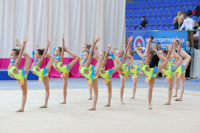 © ВФЭГ (RFAG)