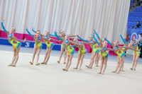 © ВФЭГ (RFAG)