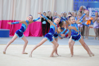 © ВФЭГ (RFAG)