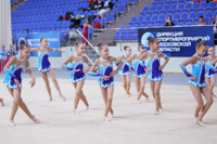 © ВФЭГ (RFAG)