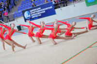 © ВФЭГ (RFAG)