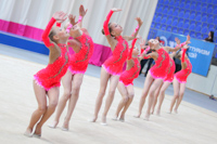 © ВФЭГ (RFAG)