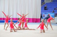 © ВФЭГ (RFAG)