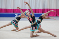 © ВФЭГ (RFAG)