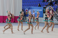 © ВФЭГ (RFAG)