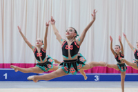 © ВФЭГ (RFAG)