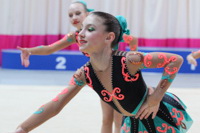 © ВФЭГ (RFAG)