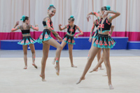 © ВФЭГ (RFAG)