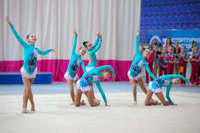 © ВФЭГ (RFAG)