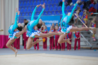 © ВФЭГ (RFAG)