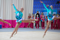 © ВФЭГ (RFAG)