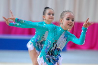 © ВФЭГ (RFAG)