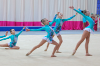 © ВФЭГ (RFAG)