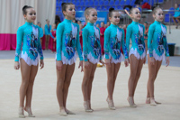 © ВФЭГ (RFAG)