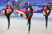 © ВФЭГ (RFAG)
