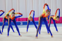 © ВФЭГ (RFAG)
