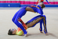 © ВФЭГ (RFAG)