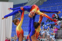 © ВФЭГ (RFAG)