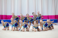 © ВФЭГ (RFAG)