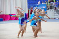 © ВФЭГ (RFAG)