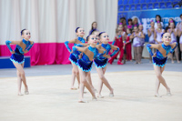 © ВФЭГ (RFAG)