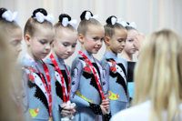 © ВФЭГ (RFAG)