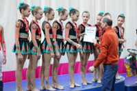 © ВФЭГ (RFAG)