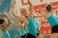 © ВФЭГ (RFAG)