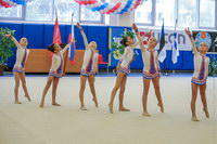 © ВФЭГ (RFAG)