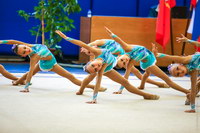 © ВФЭГ (RFAG)