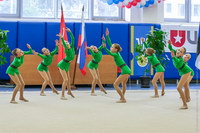 © ВФЭГ (RFAG)